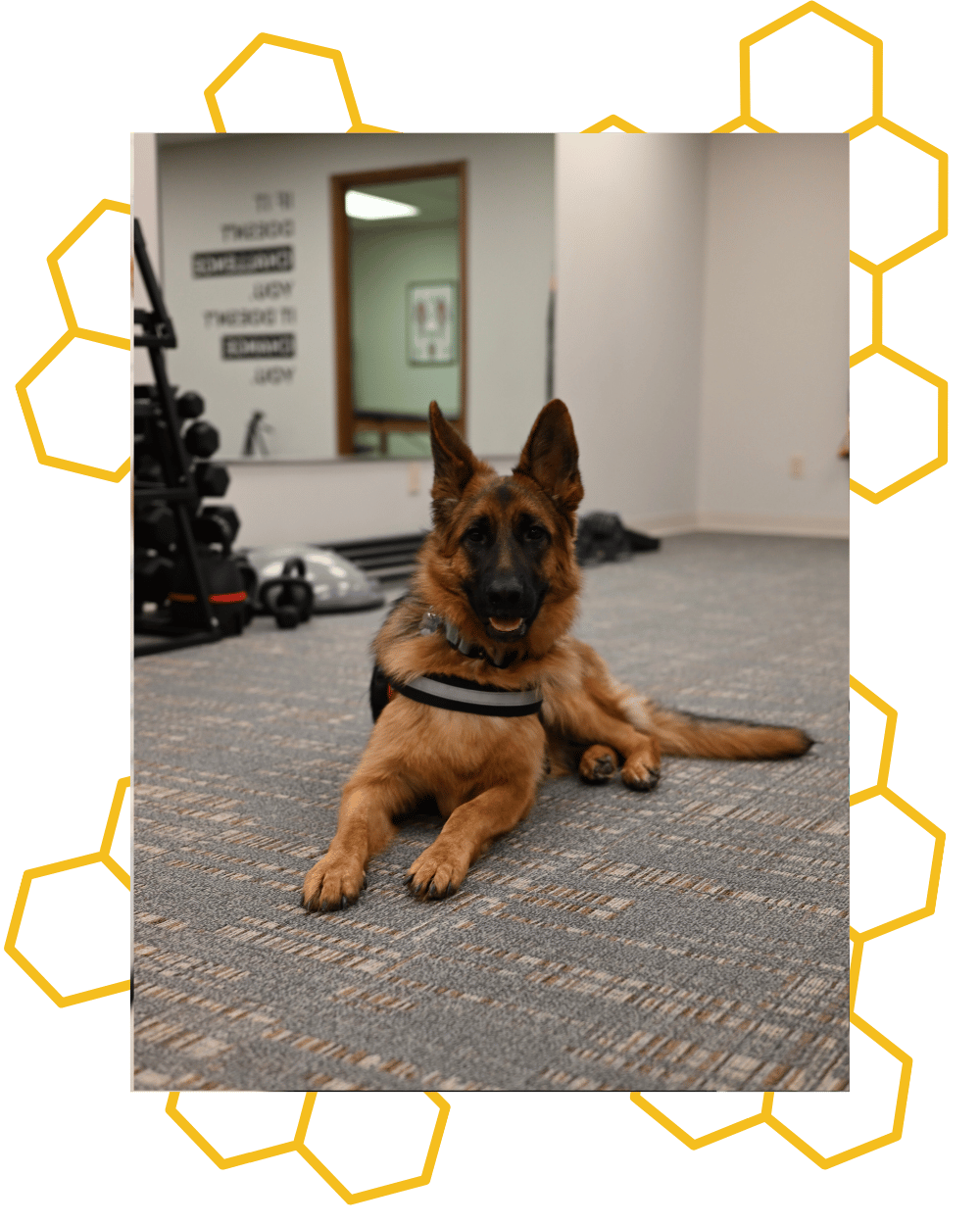 Athena Woolsteen, Bee Well Physical Therapy, Medina, Ohio (2)